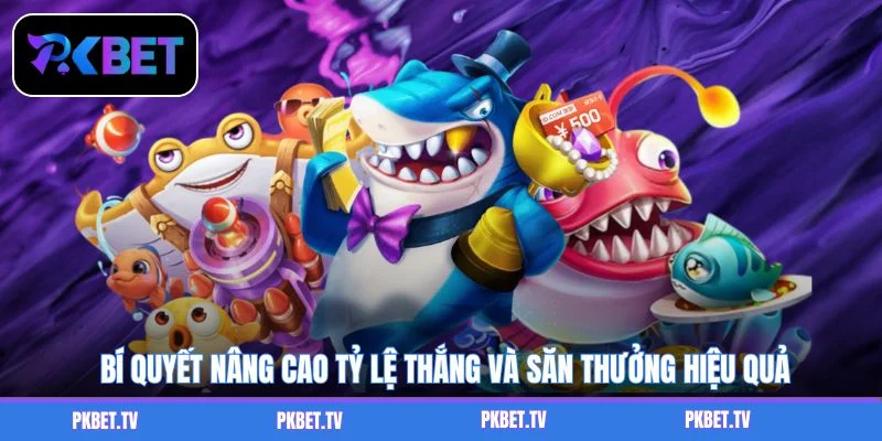 Bí quyết nâng cao tỷ lệ thắng và săn thưởng hiệu quả