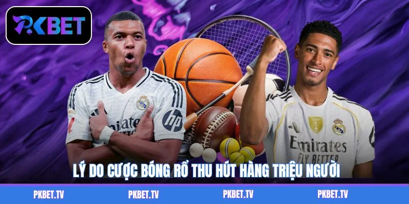 Lý do cược bóng rổ thu hút hàng triệu người