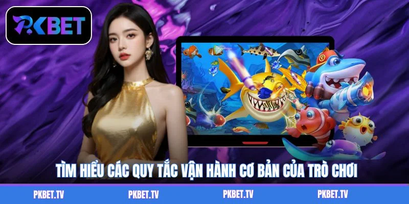 Tìm hiểu các quy tắc vận hành cơ bản của trò chơi