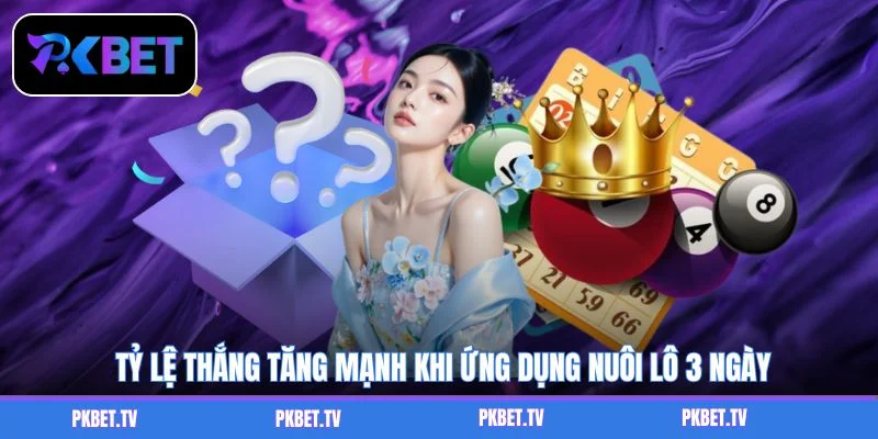 Tỷ lệ thắng tăng mạnh khi ứng dụng nuôi lô 3 ngày