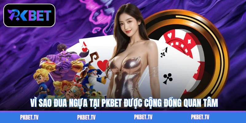 Vì sao đua ngựa tại PKBET được cộng đồng quan tâm